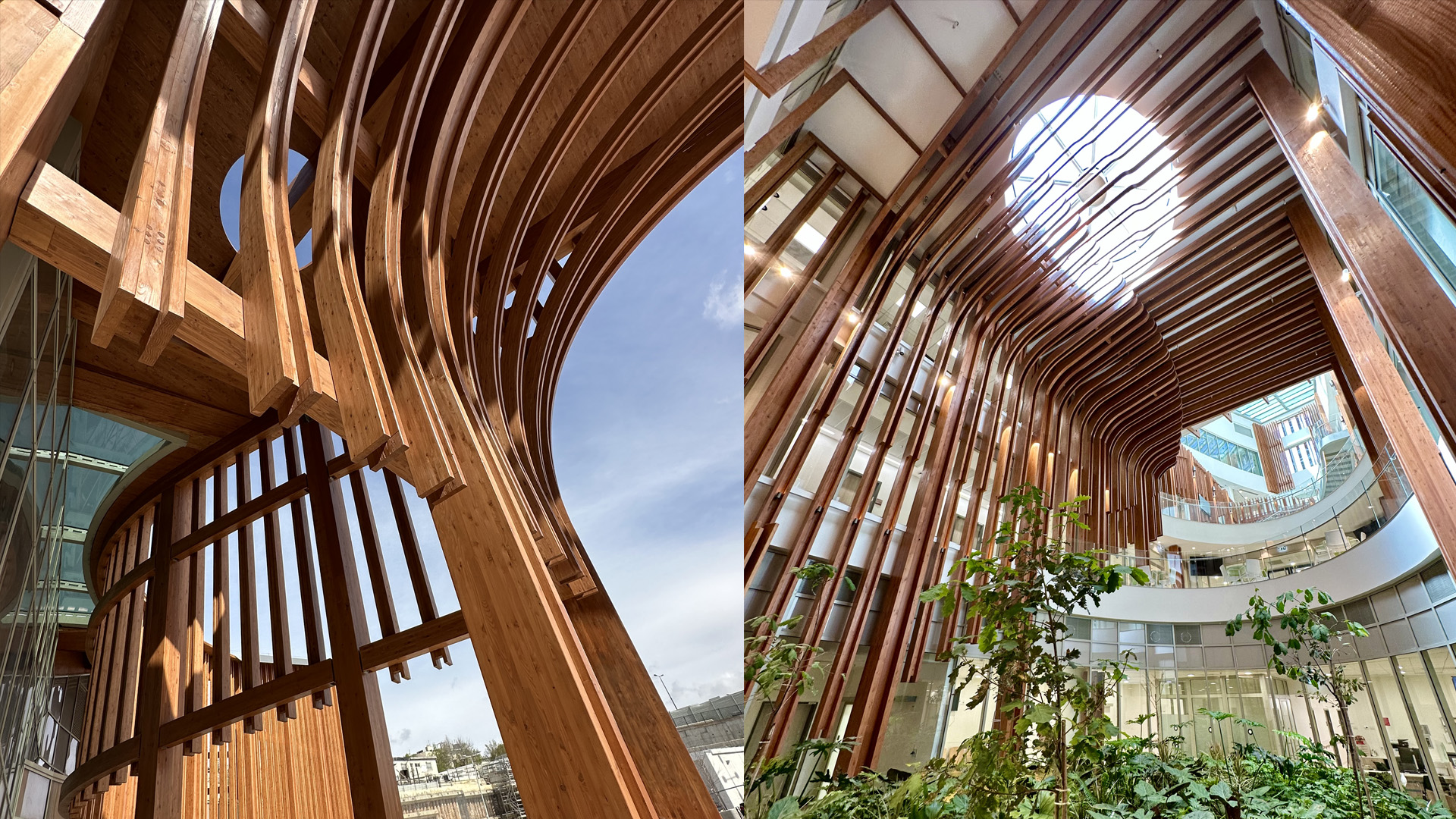 Shaare Zedek Medical Center media 2